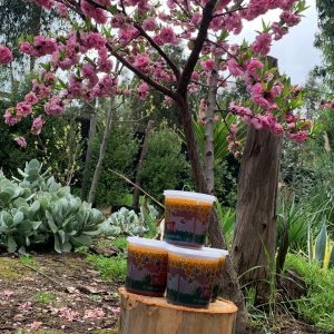 Miel artesanal 1 kg